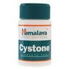 718-475-9088-Cystone